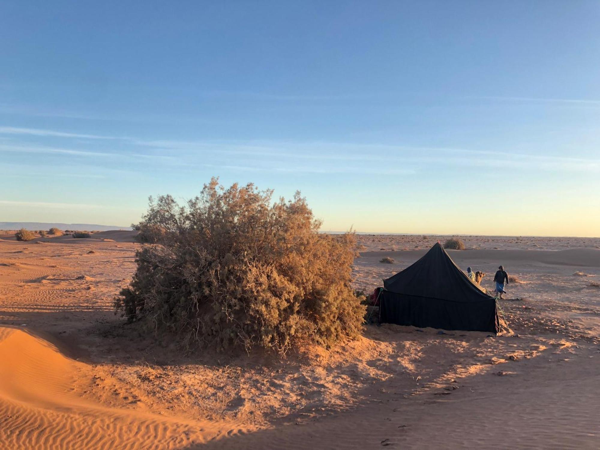 Nomads Life Style Hotel M'Hamid Buitenkant foto