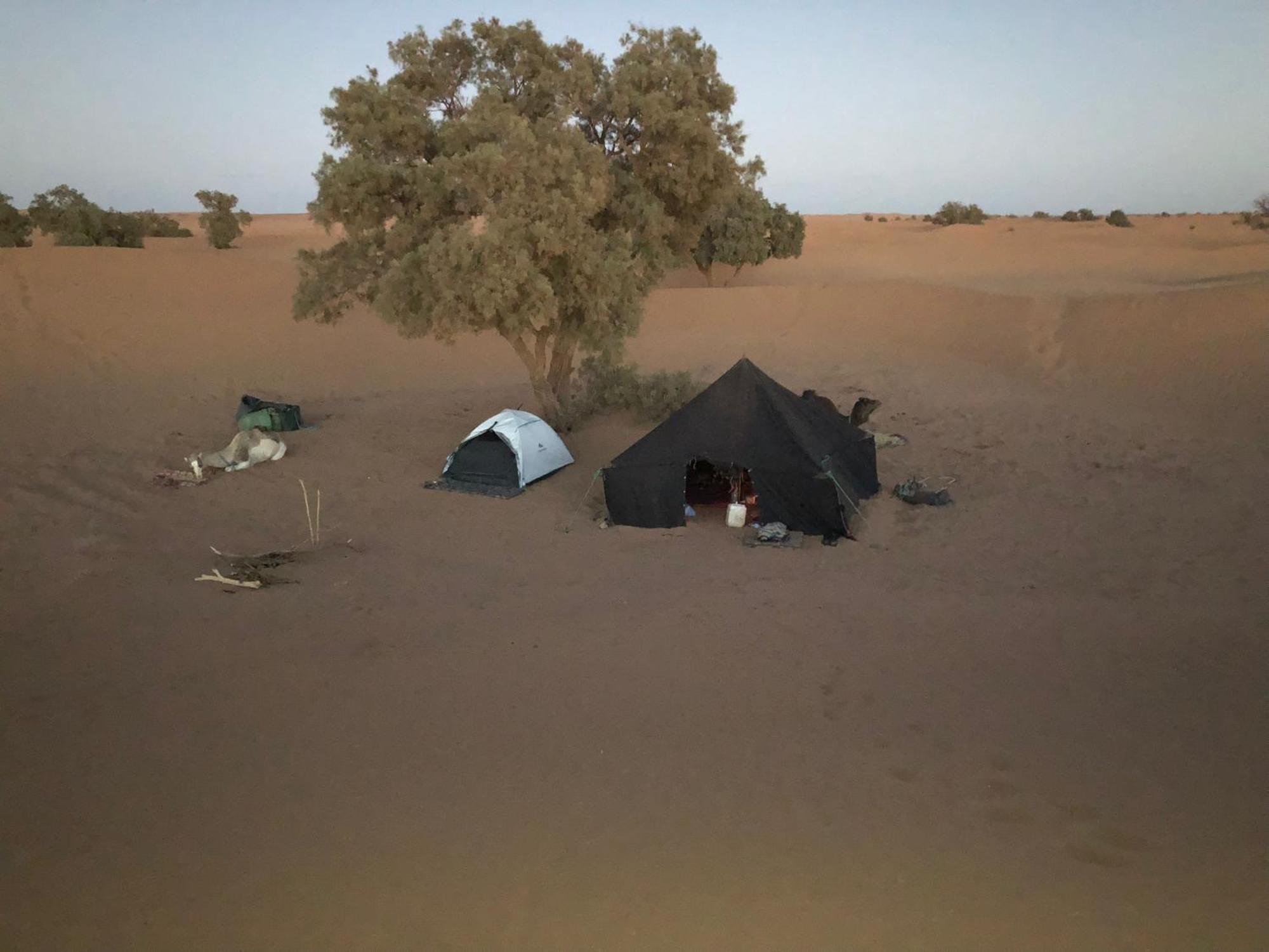 Nomads Life Style Hotel M'Hamid Buitenkant foto