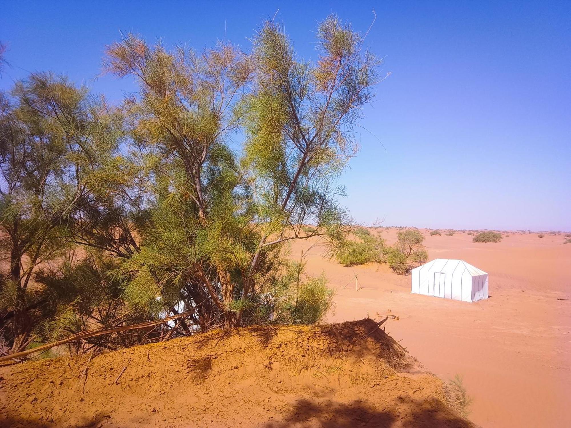 Nomads Life Style Hotel M'Hamid Buitenkant foto
