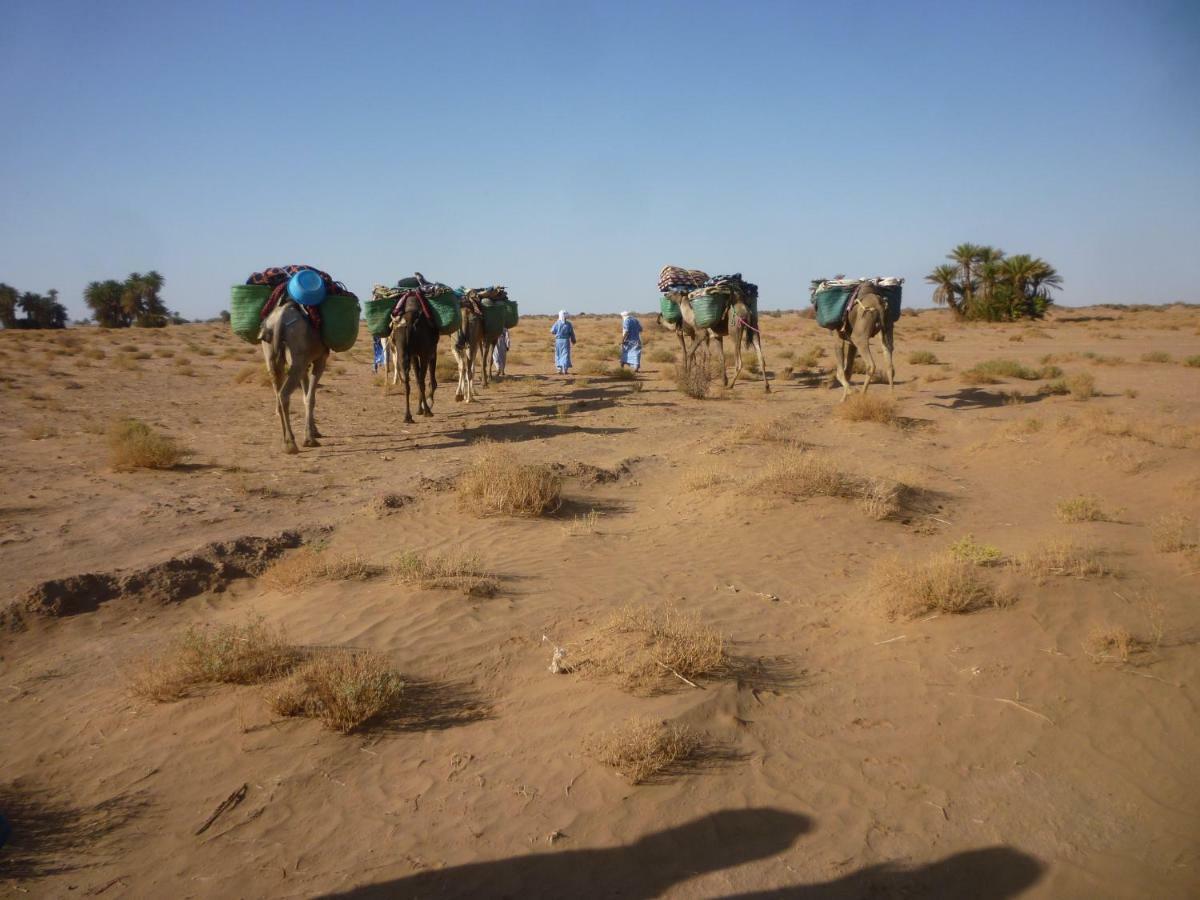 Nomads Life Style Hotel M'Hamid Buitenkant foto